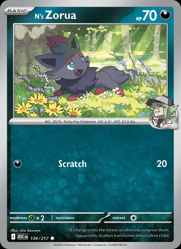 N's Zorua - 108/100