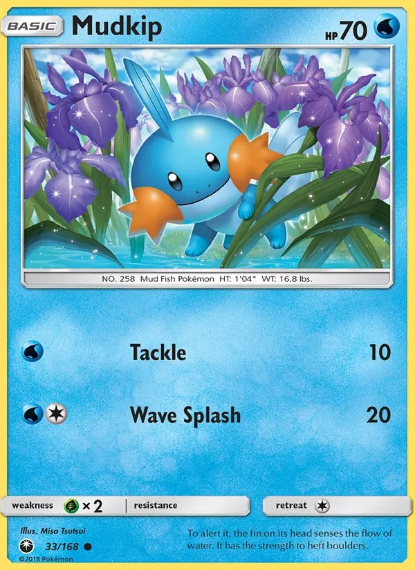Mudkip (33)