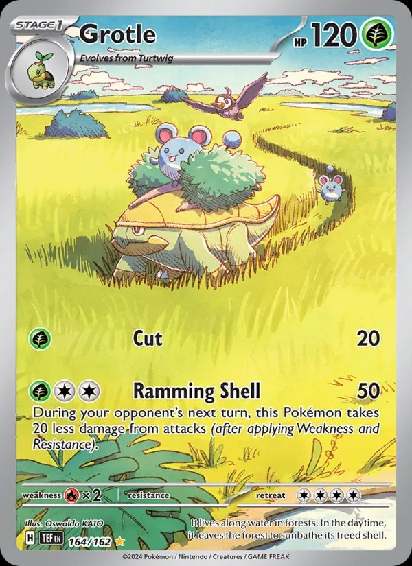 Grotle - 164/162