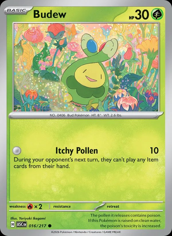 Budew - 016/217