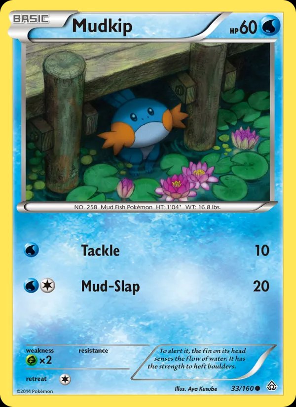 Mudkip - 33/160 (Sheen Holo)
