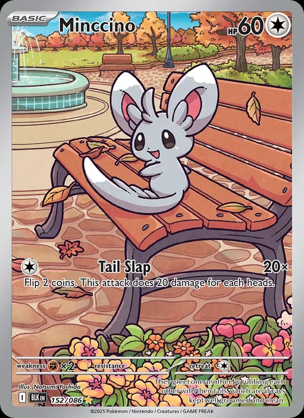 Minccino - 152/086