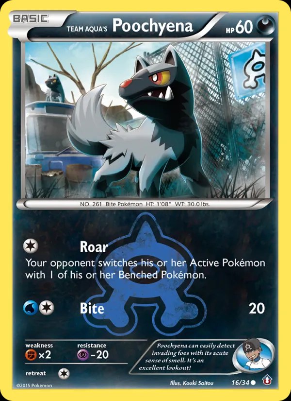 Team Aqua's Poochyena - 020/033