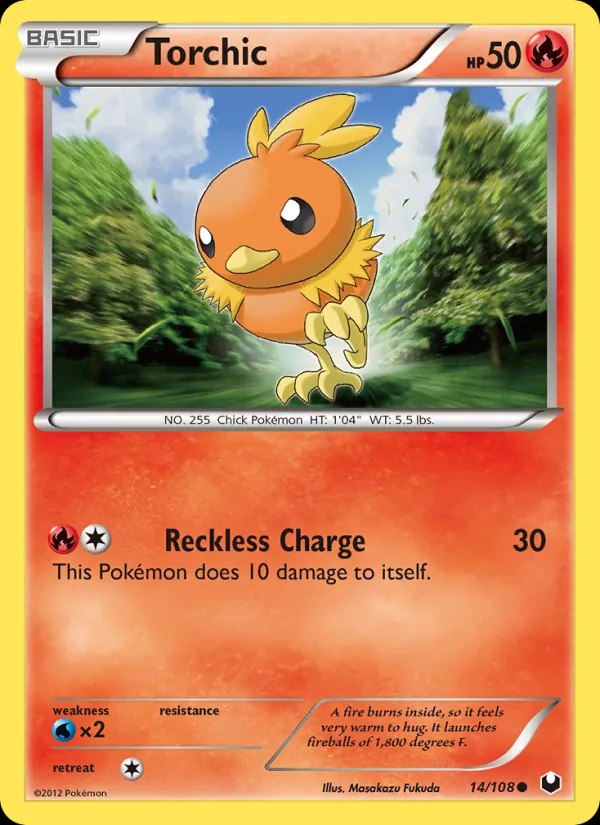Torchic (14)