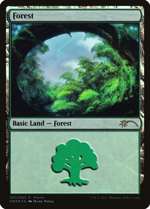 Forest (2017 Gift Pack - Poole)