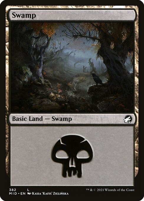 Swamp (382)