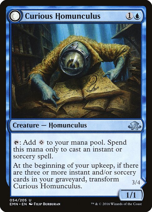 Curious Homunculus / Voracious Reader