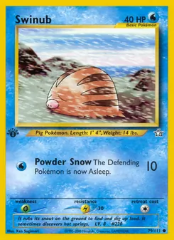 Swinub [Powder Snow]
