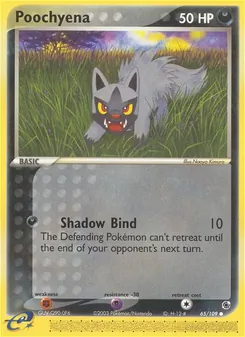 Poochyena [Shadow Bind]