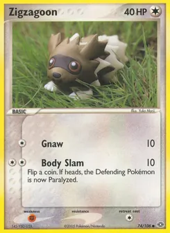 Zigzagoon [Gnaw | Body Slam]