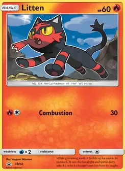 Litten [Combustion]