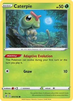 Caterpie [Adaptive Evolution | Gnaw] 카드 이미지