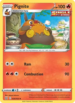 Pignite [Ram | Combustion]