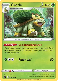 Grotle [Sun-Drenched Shell | Razor Leaf] 카드 이미지