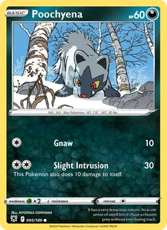 Poochyena [Gnaw | Slight Intrusion] 카드 이미지