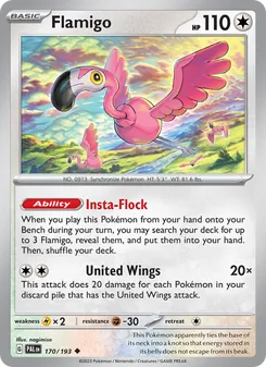 Flamigo [Insta-Flock | United Wings] 카드 이미지