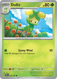 Dolliv [Sunny Wind] 카드 이미지