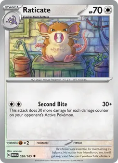 Raticate [Second Bite] 카드 이미지