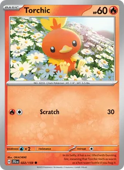 Torchic [Scratch]