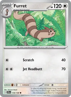 Furret [Scratch | Jet Headbutt] 카드 이미지