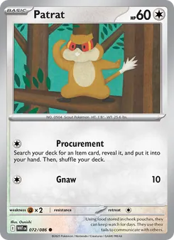 Patrat [Procurement | Gnaw]
