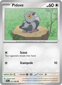 Pidove [Scout | Stampede] 카드 이미지