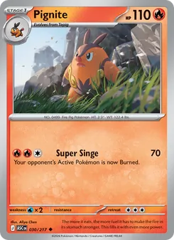 Pignite [Super Singe]