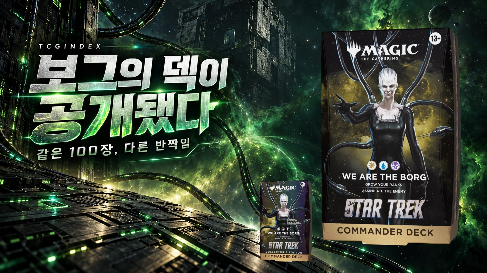 Wizards 공식 보그 제품 사진의 원본 픽셀을 별도 ImageGen 편집 배경과 결합했습니다. 공식 협업이나 추천을 뜻하지 않는 독립 해설입니다.