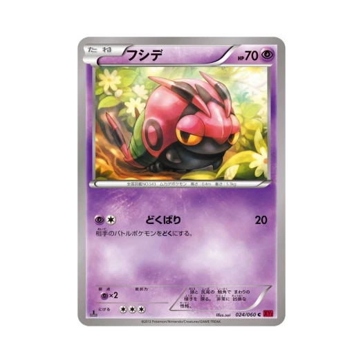 포켓몬 TCG 마디네 C Y컬렉션 퍼스트 에디션 (일어판)