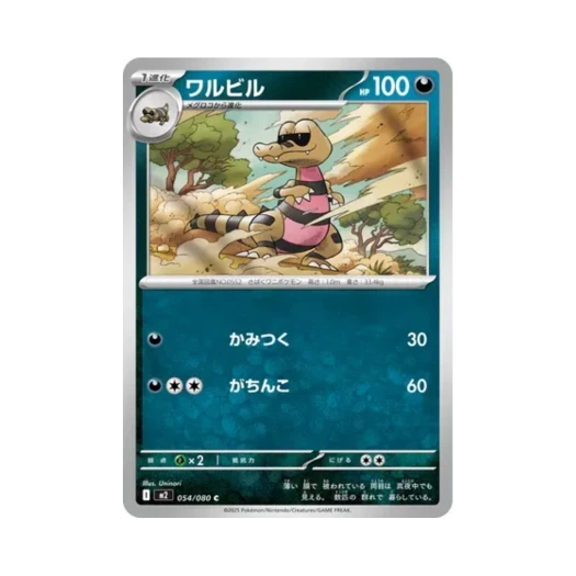 포켓몬 TCG 악비르 C 인페르노 X (일어판)