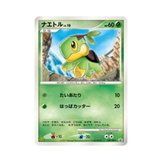 포켓몬 TCG 모부기 P 다이아몬드 & 펄 프로모카드 (일어판)