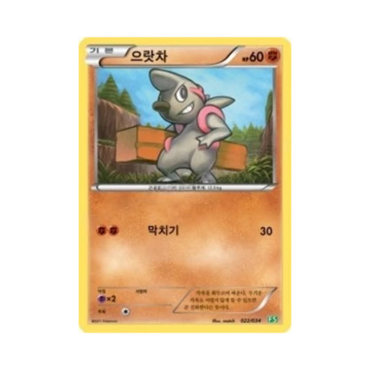 포켓몬 TCG 으랏차 BW 퍼스트 세트 풀의 진화 (한글판)