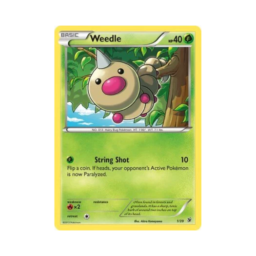 포켓몬 TCG 뿔충이 칼로스 스타터 세트 (영문판)