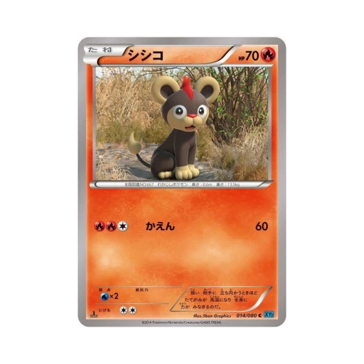 포켓몬 TCG 레오꼬 C 와일드 블레이즈 퍼스트 에디션 (일어판)