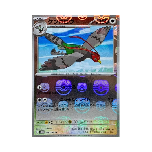 포켓몬 TCG 켄호로우 U 마스터볼 미러 블랙 볼트 (일어판)