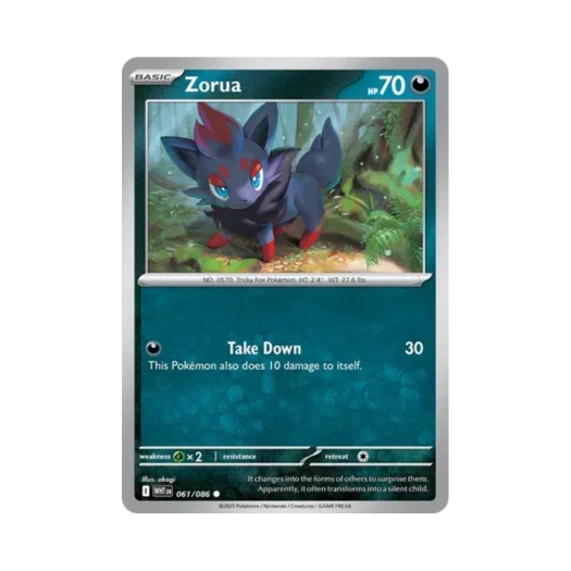포켓몬 TCG 조로아 C 화이트플레어 (영문판) 카드 이미지