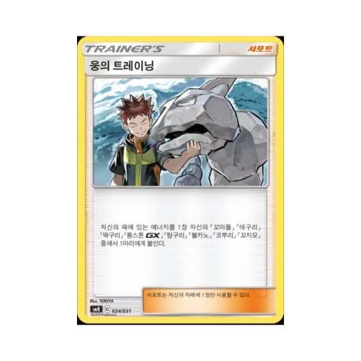 Pokemon TCG Brock's Training Sun & Moon Starter Set Trainer Battle Decks Onix GX (Korean Ver.)