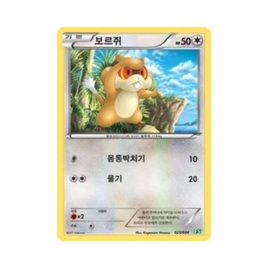 포켓몬 TCG 보르쥐 BW 퍼스트 세트 풀의 진화 (한글판)