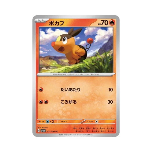 포켓몬 TCG 뚜꾸리 C 화이트 플레어 (일어판)