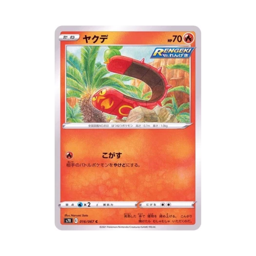 포켓몬 TCG 태우지네 C 창공스트림 (일어판)