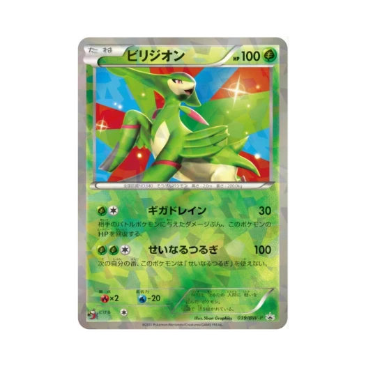 포켓몬 TCG 비리디온 P 블랙 & 화이트 프로모카드 (일어판)