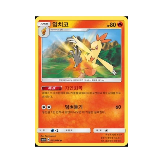 포켓몬 TCG 영치코 U 챔피언로드 (한글판)