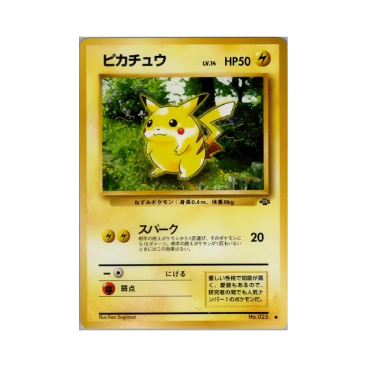 포켓몬 TCG 피카츄 C 포켓몬 정글 (일어판)