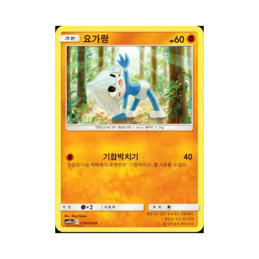 포켓몬 TCG 요가랑 C GG엔드 (한글판)