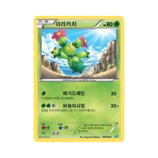 포켓몬 TCG 마라카치 BW 퍼스트 세트 풀의 진화 (한글판)