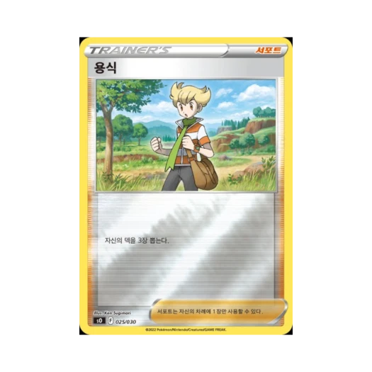 포켓몬 TCG 용식 소드&실드 스페셜 덱 세트 리자몽 VSTAR vs 레쿠쟈 VMAX (한글판)