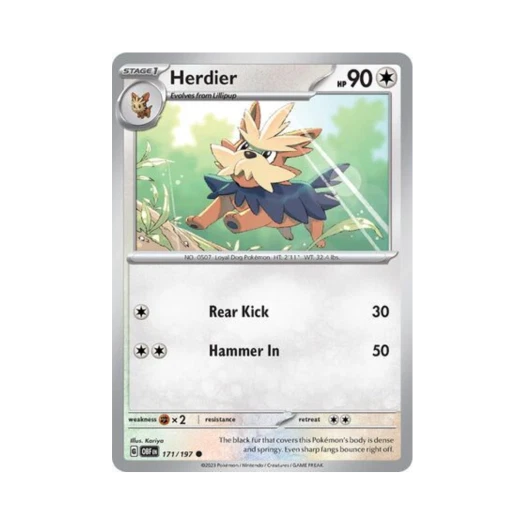 포켓몬 TCG 하데리어 C 옵시디언 플레임즈 (영문판) 카드 이미지
