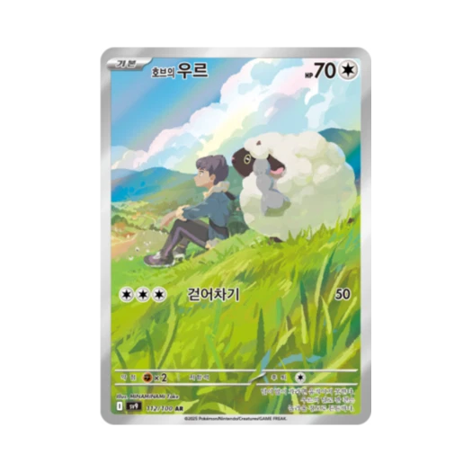 Pokemon TCG Hop's Wooloo AR Battle Partners (Korean Ver.)