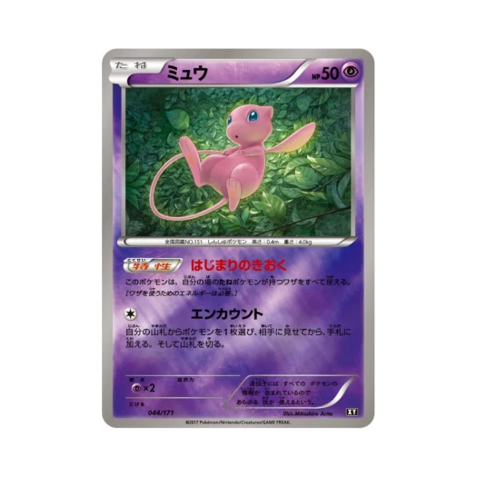 포켓몬 TCG 뮤 미러 베스트 오브 엑스와이 (일어판)