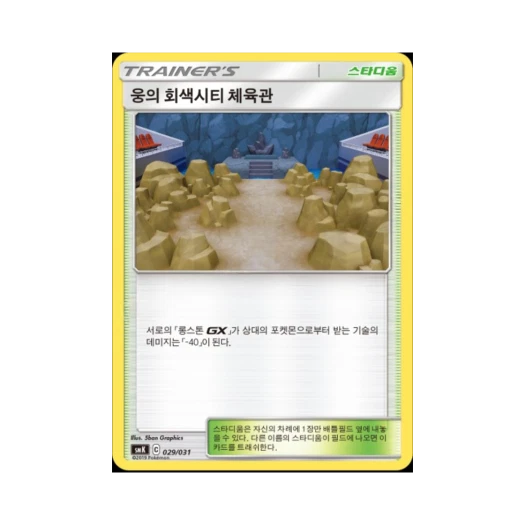포켓몬 TCG 웅의 회색시티 체육관 썬&문 스타터 세트 격투 롱스톤 GX (한글판)